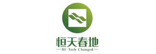 Shandong Hengtian Chundi New Weaving Co., Ltd. logo