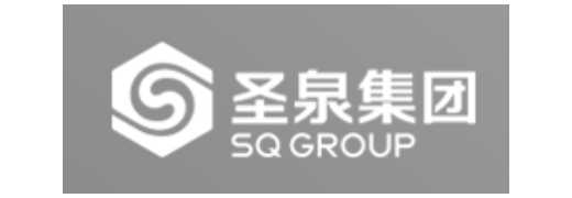 Shandong Shengquan New Materials Co., Ltd. logo
